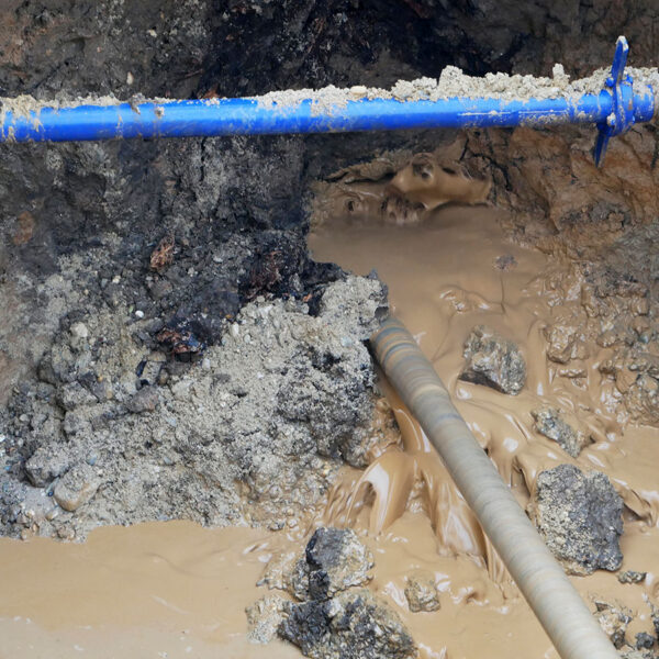 eine ziemlich schlammige Angelegenheit