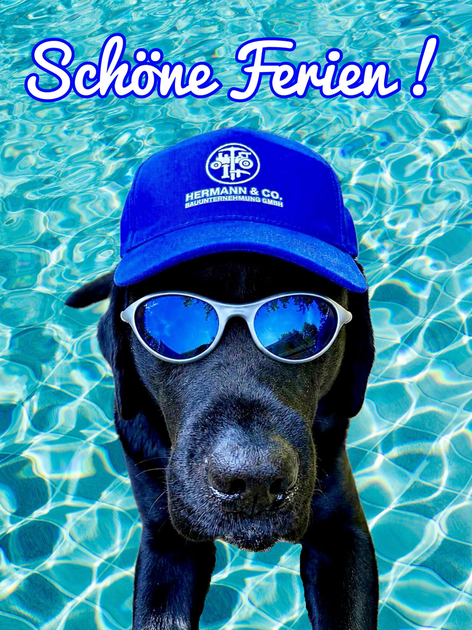 TIERISCH SCHÖNEN SOMMER